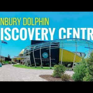 Dolphin Discovery Centre Bunbury | Western Australia Aquarium