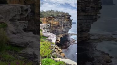 Need a day trip from Sydney? #watsonsbay #sydney