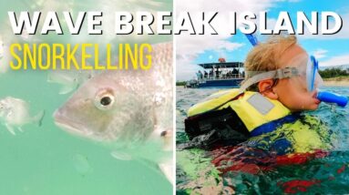 Wave Break Island Snorkelling | Gold Coast, Australia